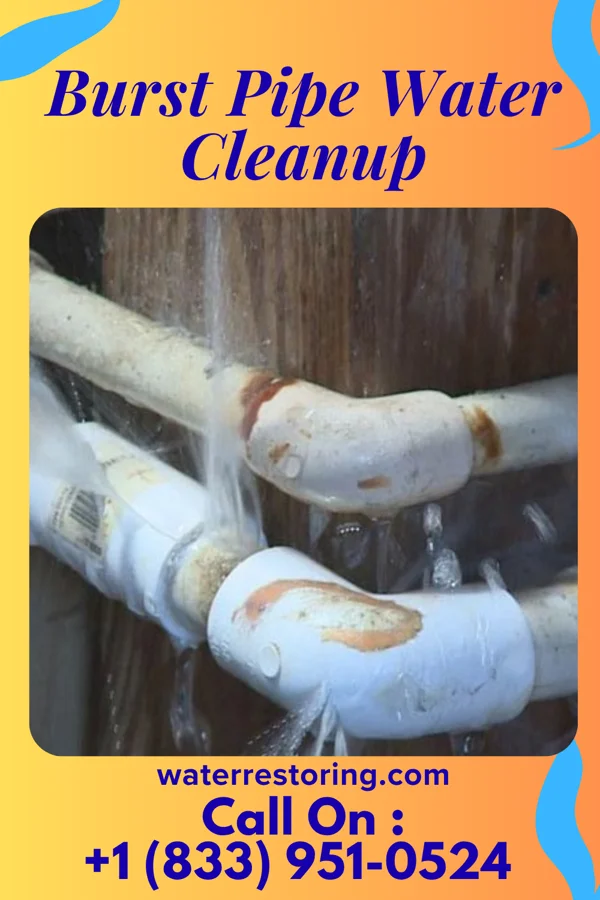 Burst Pipe Water Cleanup in Elmsford, NY