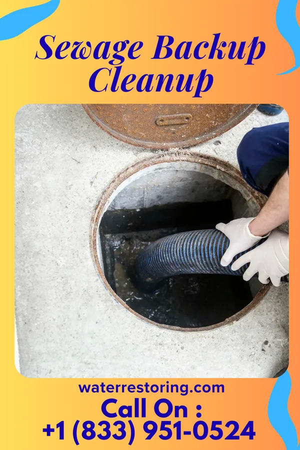 Sewage Backup Cleanup in Elmsford, NY